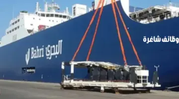 لحملة البكالوريوس فأعلى.. "الشركة الوطنية للنقل البحري" تعلن عن وظائف شاغرة