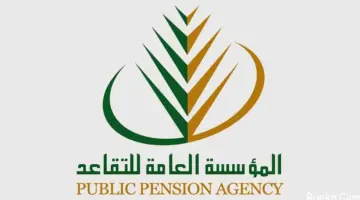ما هو موعد صرف رواتب التقاعد الجديد بالمملكة لعام 2024؟