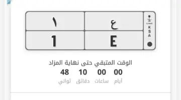 "المرور" تُعلن طرح مزاد اللوحات المميزة الإلكتروني 1445 يوم الأربعاء عبر أبشر