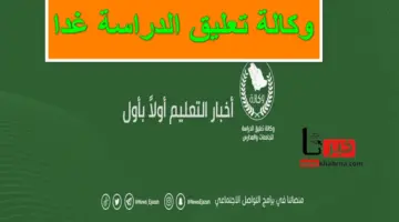 هطول امطار وشبورة بتلك الأماكن .. هل هناك تحويل للدراسة عن بُعد في هذه المناطق؟ وكالة تعليق الدراسة تُجيب
