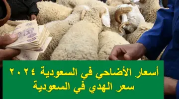 بكام الهدي .. أسعار الأضاحي في السعودية النعيمي والروماني والسوداني للعام 2024