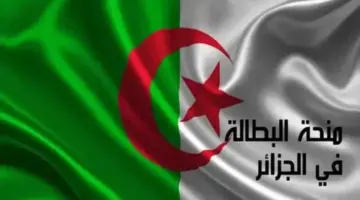 الوكالة الوطنية للتشغيل توضح خطوات التسجيل في منحة البطالة 2024