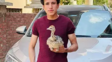 سبب وفاة أصغر المُربين في مصر يوسف مربي النعام