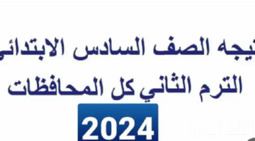"التربية والتعليم" تحدد خطوات الاستعلام عن نتيجة الصف السادس الابتدائي 2024