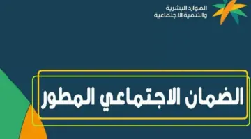 تنبيه مهم من "الموارد البشرية" بشأن الساعة كم ينزل الضمان الاجتماعي المطور شهر يونيو 2024؟