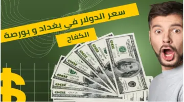 " استقرار نسبي" سعر 100 دولار في العراق اليوم السبت 25 مايو 2024