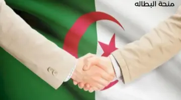 ما هي شروط منحة البطالة 2024 في الجزائر.. وما موعد الصرف؟