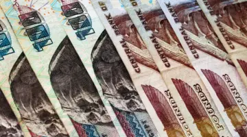 "وزارة المالية" توضح جدول مواعيد صرف الرواتب 2024