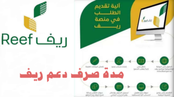 "برنامج التنمية الريفية"يوضح مدة صرف دعم ريف .. وشروط الحصول عليه