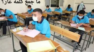 ما جمع كلمة عار؟.. سؤال أثار حيرة طلاب الشهادة الإعدادية بمحافظة البحيرة