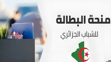 "الحكومة الجزائرية" تعلن عن خطوات التسجيل في منحة البطالة 2024 وأهم شروطها