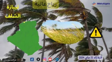 الديوان الوطني للأرصاد الجوية...  يحذر المواطنين باللون الاصفر 