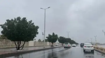 حالة الطقس غدًا.. تقلبات جوية وتساقط للأمطار ببعض المناطق وتحذيرات من الدفاع المدني
