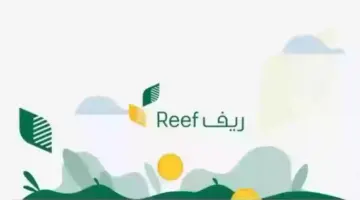 "وزارة البيئة والمياه والزراعة" تُذكر بأبرز الفئات المستحقة لدعم ريف 1445/2024