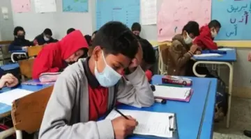 ما هي مميزات بوابة التعليم الاساسي نتائج سنوات النقل الابتدائية والاعدادية؟