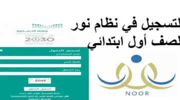 اليوم الخميس .. ‏انتهاء التسجيل في رياض الأطفال و الصف الأول الابتدائي للعام الدراسي القادم