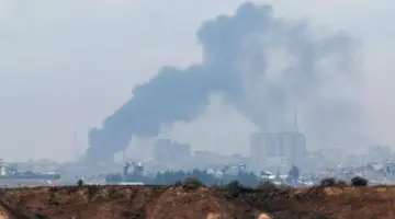 نشطاء يطلقون حملة مقاطعة المشاهير العرب لصمتهم عن حرب الإبادة بقطاع غزة