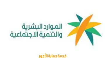 "وزارة الموارد البشرية" تعلن عن خدمة حماية الأجور لرواتب العمالة المنزلية