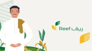 وزارة البيئة توضح شروط التسجيل في دعم ريف للرجال والنساء ورابط التقدم إلكترونيا بالخطوات