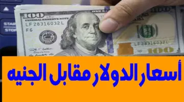 "تحديث جديد" سعر الدولار اليوم مقابل الجنيه المصري في البنوك المصرية اليوم الخميس