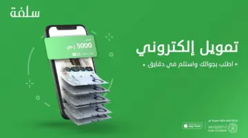 ما هي خطوات الحصول على سلفة عن طريق نفاذ 2024؟