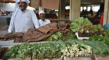 وزارة البيئة وهيئة الطهي يطلقان فعالية سوق المزارعين بالخبر لعرض المنتجات