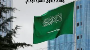 لحملة البكالوريوس فأعلى.. "صندوق التنمية الوطني" يعلن عن وظائف شاغرة