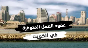 "الآن" خطوات التقديم على عقد عمل بالكويت لمختلف التخصصات والمؤهلات