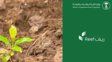 كم مدة صرف دعم ريف 1445 وما هي أهم شروط القبول؟