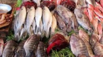ما هي أسعار السمك للمستهلك في مصر اليوم الخميس 30 مايو 2024؟