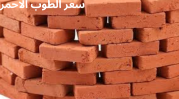 ما هو سعر الطوب الاحمر في مصر اليوم الخميس 30 مايو 2024؟