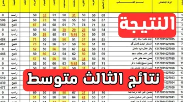 الاستعلام عن نتائج الثالث متوسط الدور الأول 2024 بالعراق عبر موقع وزارة التربية