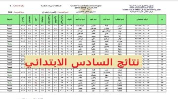 الآن.. رابط الاستعلام عن نتائج السادس الابتدائي 2024 القادسية بالاسم والرقم الامتحاني في ثواني