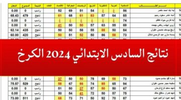 مبروك الناجحين.. نتائج السادس الابتدائي 2024 الكرخ الثالثة عبر موقع نتائجنا