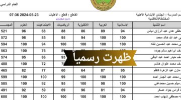 "ظهرت رسميًا".. نتائج السادس الابتدائي 2024 كربلاء الدور الأول وعموم محافظات العراق
