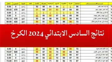 نتائج الصف السادس ابتدائي الكرخ الثانية 2024 PDF عبر موقع نتائجنا ووزارة التربية