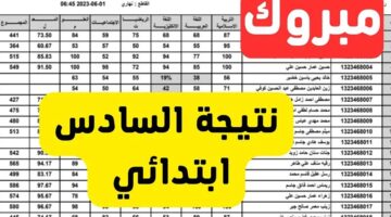 "تم الرفع PDF".. نتائج الصف السادس ابتدائي ذي قار 2024 الدور الأول