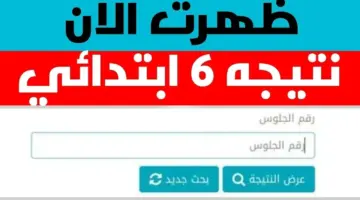 بالاسم.. نتائج الصف السادس الابتدائي 2024 لجميع المحافظات عبر بوابة التعليم الأساسي