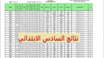 "الشهادة الابتدائية".. نتيجة السادس الابتدائي الترم الثاني 2024 بجميع محافظات مصر