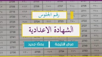 استعلم الآن.. نتيجة الشهادة الإعدادية 2024 محافظة الجيزة بالاسم ورقم الجلوس