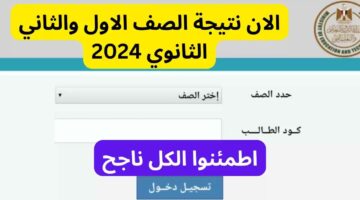 بالرقم القومي.. نتيجة الصف الأول الثانوي الترم الثاني 2024 محافظة الجيزة عبر الموقع الرسمي