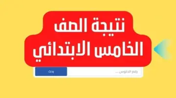 بالألوان.. نتيجة الصف الخامس الابتدائي الترم الثاني 2024 بجميع المحافظات