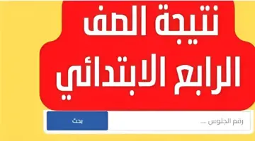نتيجة الصف الرابع الابتدائي بالاسم ورقم الجلوس 2024 عبر بوابة التعليم الأساسي
