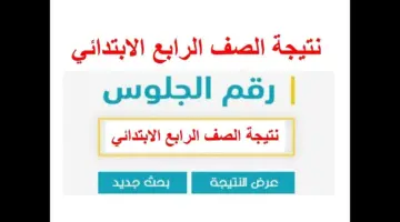 مبروك النجاح.. نتيجة الصف الرابع الابتدائي الترم الثاني بالألوان بالاسم ورقم الجلوس