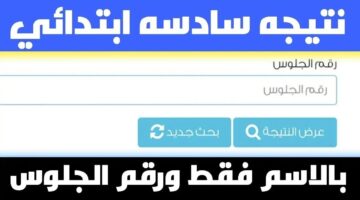"الشهادة الابتدائية".. نتيجة الصف السادس الابتدائي الترم الثاني 2024 بالاسم ورقم الجلوس