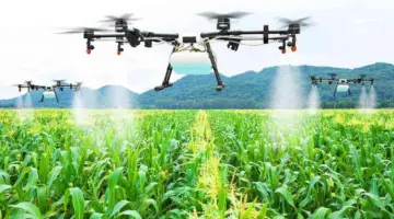 وزارة الزراعة الجزائرية ... وشكوك حول حقيقة تفوق إنتاجها على المغرب 