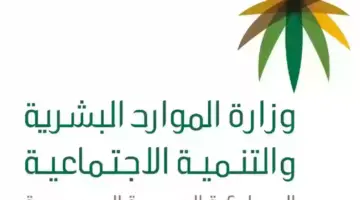 الاستعلام عن الضمان المطور نفاذ.. "الموارد البشرية" تكشف موعد صدور أهلية الدفعة المنتظرة 31 شهر يوليو 2024