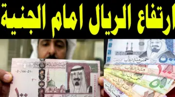 " مع اقتراب موسم الحج" سعر الريال السعودي اليوم السبت 8 يونيو 2024 أمام الجنيه المصري