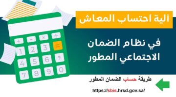 كيف احسب مستحقاتي من الضمان الاجتماعي المطور 1445؟ " الموارد البشرية" توضح