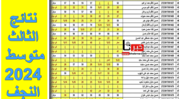 "هسة ظهرت" .. نتائج الثالث متوسط 2024 النجف موقع نتائجنا الوزاري الدور الأول أون لاين results.mlazemna